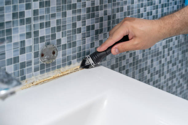  South Rosemary, NC Mold Removal Pros
