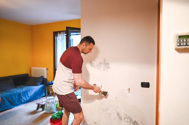 Best Mold Cleaning Services  in South Rosemary, NC